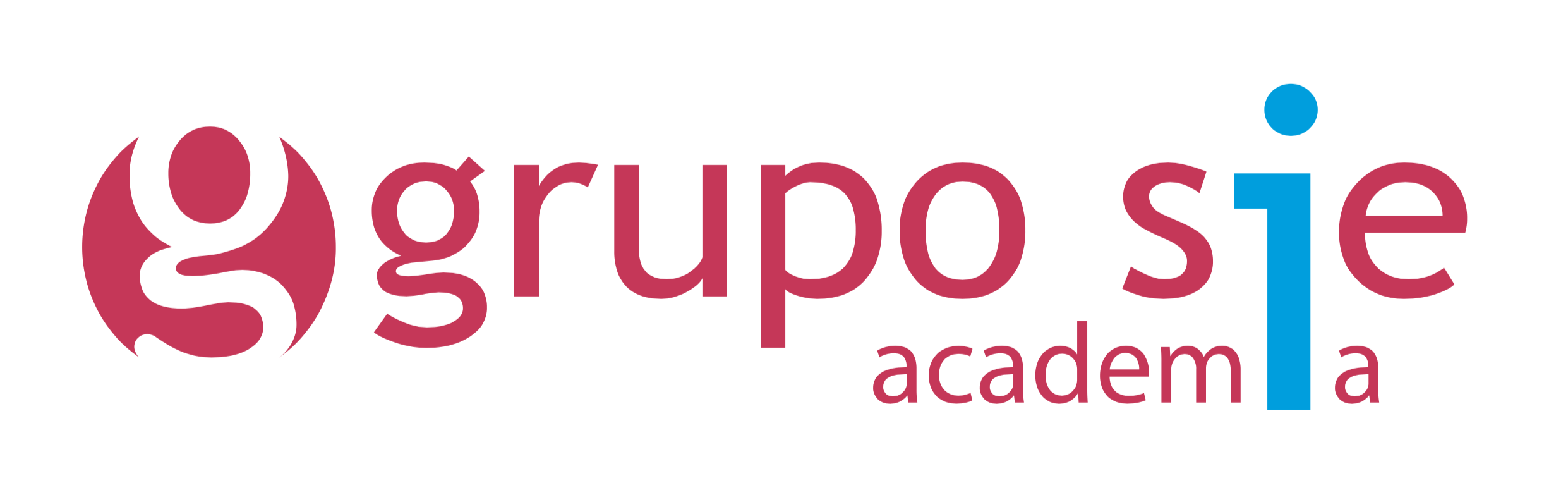 Academia Grupo SIE